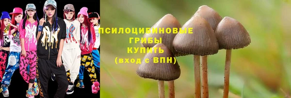 прущий лед Армянск