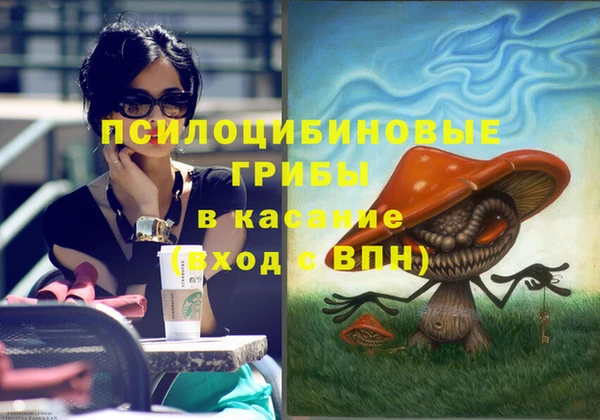 прущий лед Армянск
