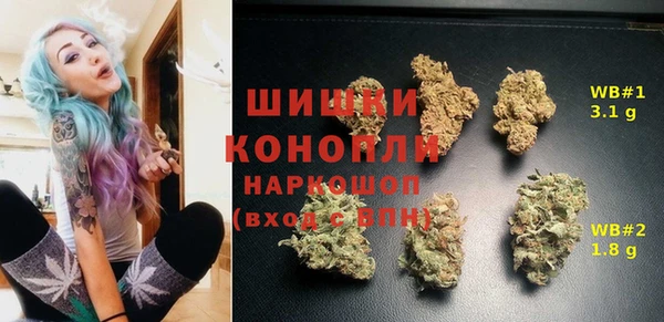 кокс Арсеньев