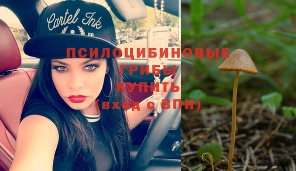 прущий лед Армянск