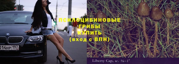 кокс Арсеньев