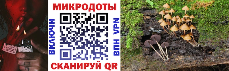 Купить  Устюжна  Галлюциногенные грибы мухоморы 